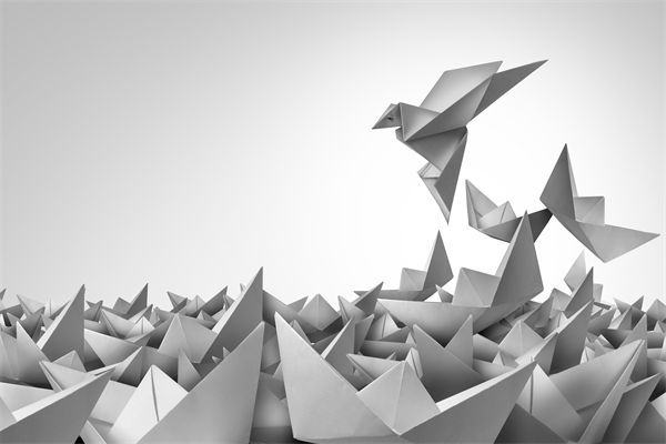 變革期文化斷層，如何用管理體系凝聚團隊共識？