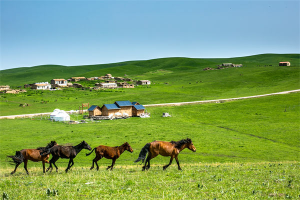 飛新疆的機(jī)票價格漲爆了，什么情況？是營銷炒作？
