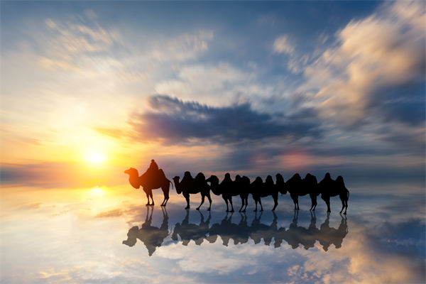 戰略與文化脫節，企業理念如何落地支撐發展？