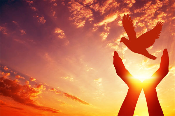 別讓盲卡盲盒“收割”孩子，關(guān)聯(lián)企業(yè)戰(zhàn)略怎么看？