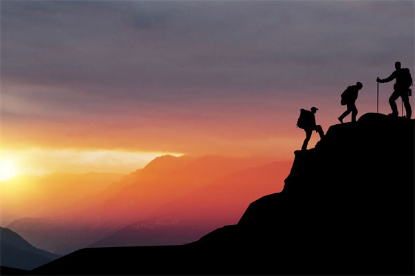 高層標榜的文化理念，為何與基層執行完全兩張皮？